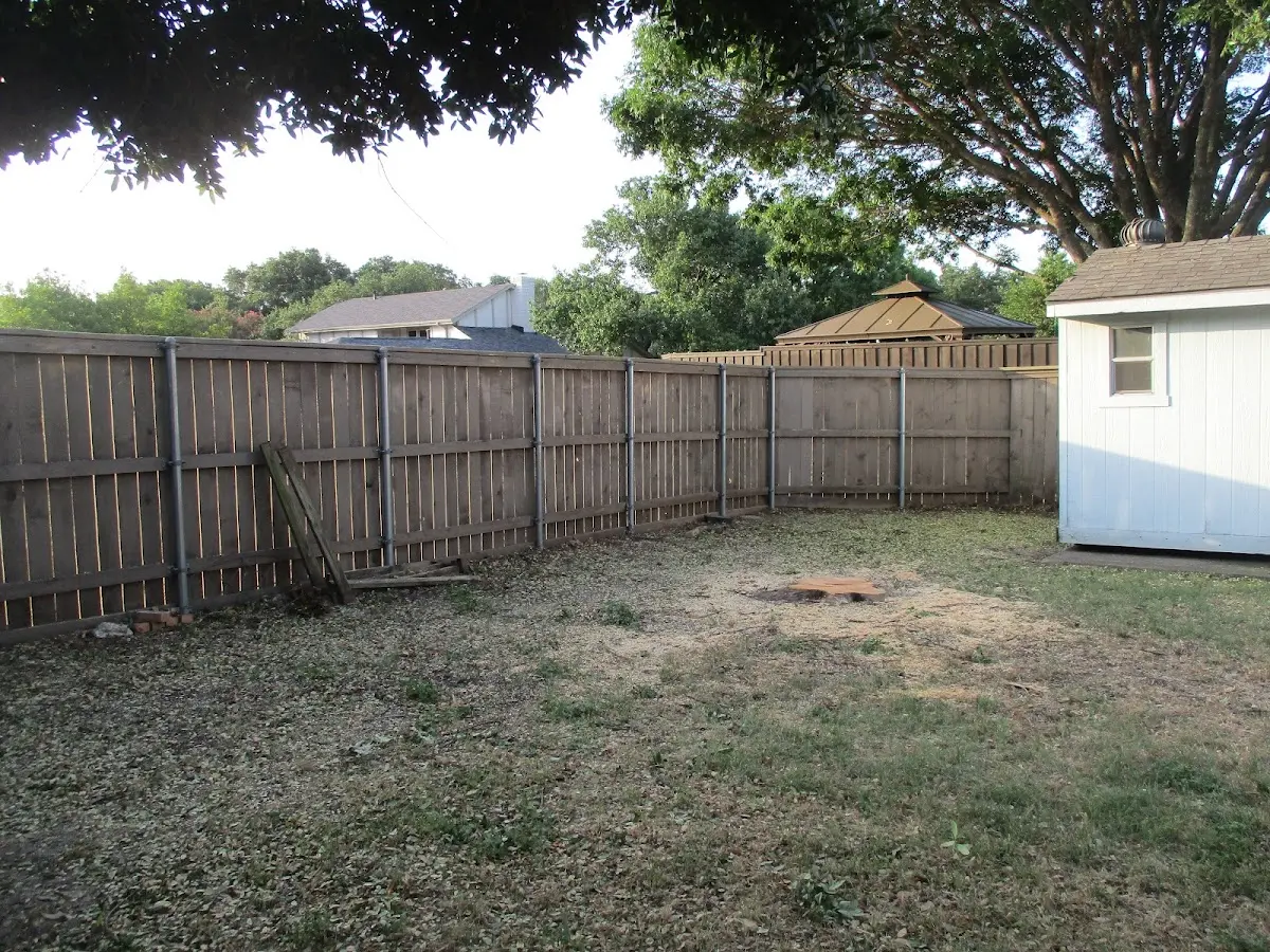 Cleared yard after professional tree removal in Forest Home