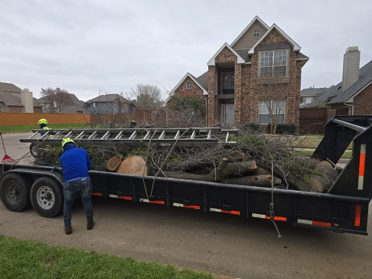 Expert Tree Fertilization with proper safety equipment in Forest Home